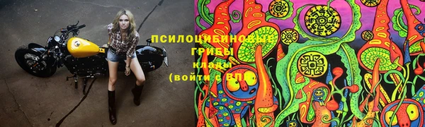 прущая мука Арсеньев