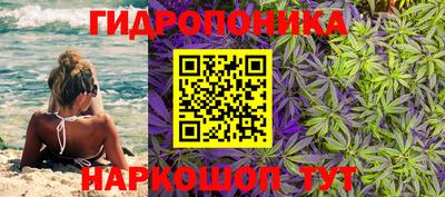 гашиш Канаш