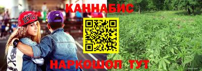 прущие крисы Камышлов