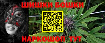 прущие крисы Камышлов
