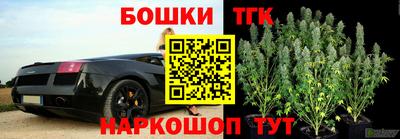 прущие крисы Камышлов