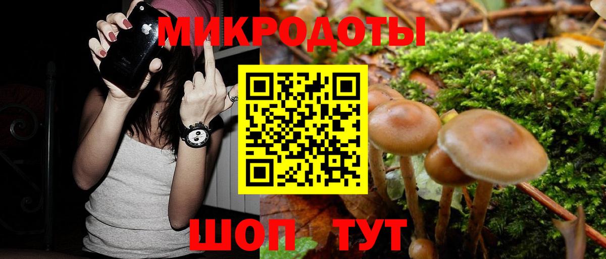 Галлюциногенные грибы Magic Shrooms  Галлюциногенные грибы прущие грибы  Урюпинск  Вход с VPN 